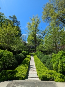 This is my sunken Summer House Garden – a more formal garden with both English and American boxwood.