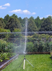 One of my favorite sources for watering is Gilmour, a Madison, Wisconsin-based company. I use several of their products at my New York farm and at Skylands, my home in Maine. Mornings are the best times to water – when water pressure is high, evaporation is low, and the soil can absorb the water before the sun heats up the ground.