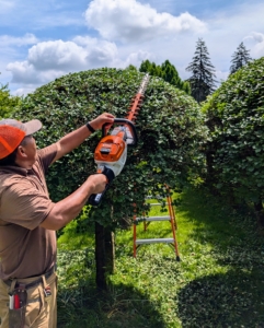 The HSA 140 T hedge trimmer provides high blade speed, small tooth spacing, and low tooth height for precision hedge trimming and sculpting. Phurba uses it to groom the tops of my lilac trees by my home.