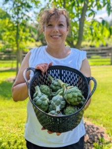 Here's Elvira helping with the latest harvest. I've had such a productive artichoke season.