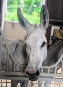 Clive is waiting patiently for his dinner. Don't worry, Clive, it's coming soon.