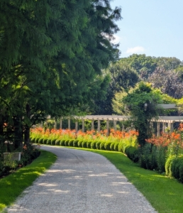 My farm, my home, and all the gardens, groves, and allées are constantly being used for my television shows, book shoots, and other appearances. I work very hard to make sure it is always in good shape for these events. This is my long clematis pergola in summer, when it is bursting with bright orange tiger lilies.