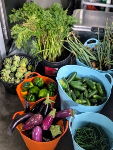After any harvest, the freshly picked fruits and vegetables are loaded up and brought to my flower room, where they can be washed if needed, then bagged and stored in the refrigerator. It makes me so happy to be able to share all of this produce with friends and family every summer.