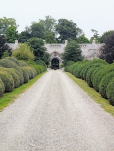 From one end, this 450-foot Boxwood Allée looks great. It runs from my stable all the way to the carriage road that leads to my hayfields and woodlands. The next project, the boxwood on my Winter House Terrace Parterre. Good job, Phurba!