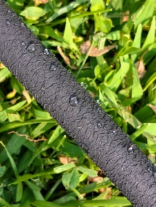 The water is released via tiny pores along the hose length, allowing for even distribution.