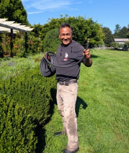 Pete uncoils the hose first to determine how many he will need for a certain area. This is my long clematis pergola. Soaker hoses are placed behind the boxwood borders on both sides.