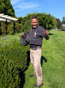 Pete carefully positions soakers underneath the pergola boxwood. These Gilmour soaker hoses deliver low-pressure water directly to plant roots through tiny pores, reducing evaporation, runoff, and water waste.