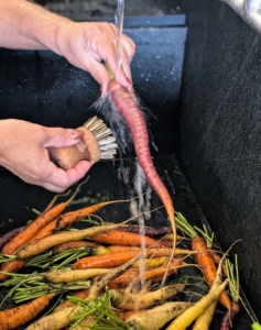 Enma uses a brush specifically made for removing dirt, debris and any bacteria left on the surface of the vegetable.