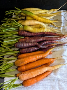 The carrots are so beautiful. Each color not only adds visual appeal to the plate, but also offers varying flavors and distinct nutritional benefits.