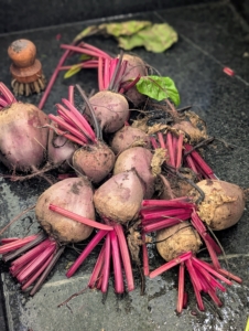 The beets are then placed into the sink for a good washing.