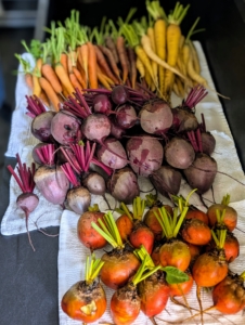 Here's just a portion of one day's harvest - so many carrots and beets.