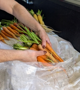 After cleaning, the vegetables are blagged and placed into the refrigerator.