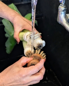 The leek roots and dark green leaves are also trimmed. The vegetables are then brushed and rinsed thoroughly.