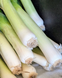 The edible portions of the leek are the white base of the leaves, the light green parts, and to a lesser extent, the dark green parts of the leaves. They have a mild onion-like taste and smell. In its raw state, they are also very crunchy and firm.