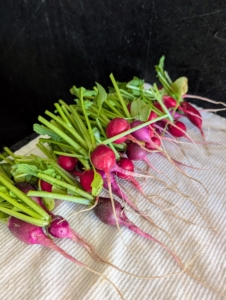 Radishes are grown and consumed throughout the world, and mostly eaten raw as a crunchy salad vegetable. Have you ever tried radish and butter with pinch of flaky salt? It is a popular French low-carb snack, and it’s delicious.