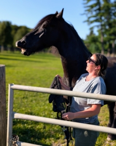 Not far, Helen gets Geert ready for an afternoon in his pasture. Geert is one of my four striking Friesians. I think he's pretty excited about the milder weather. This day was in the mid-80s.
