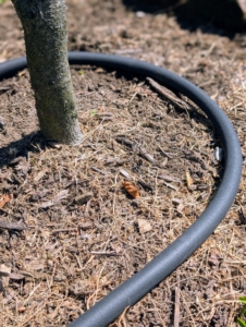 If there is extra hose at one end, just circle it around the last tree or shrub. The hose is designed to be flexible enough to snake around garden beds next to plants to target irrigation straight to the roots.