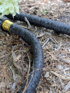It is easy to see the water droplets coming through the hose. These hoses will irrigate the beds through the night and then be turned off come morning.