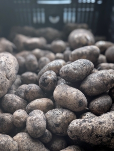 Here at my farm, I plant potatoes every year – they’re great for baking and enjoying with my favorite caviar, and for making my mother’s famous mashed potatoes.