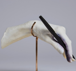 This is the hand of the late Ruth Bader Ginsberg, an American lawyer and jurist who served as an associate justice of the Supreme Court of the United States from 1993 until her death in 2020.