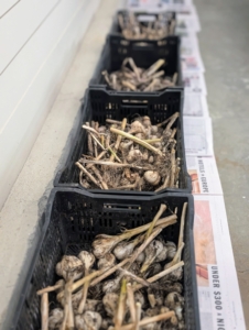 These were left in my carport, where they were protected from any elements.