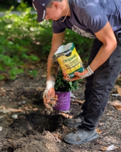 Next, Matt sprinkles a generous handful of good, water-soluble fertilizer to the existing soil.