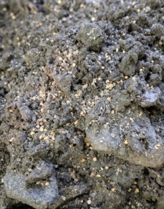 The food is granular, supports strong root development, and feeds plants for up to three months.