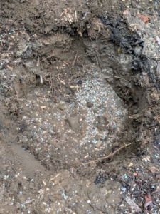 Fertilizer is sprinkled generously inside the hole and on the surrounding soil. I use Miracle-Gro fertilizers that help with transplant survival, increase water and nutrient absorption, and encourage vigorous root growth and lush foliage. Ryan also sprinkles fertilizer around the entire bed.