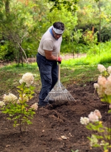 Cesar rakes the area, so it is neat and tidy.
