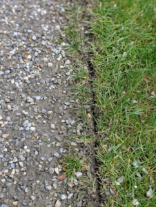Here is the finished line made by the edger – so clean and crisp. This task can also be done manually with an edging spade, but with the number of roads that need edging around the farm, it is a lot easier to use the powered edger tool. In this section, one can see where the edger has passed and made a clean line through the turf.