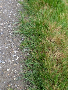 Does your driveway look similar to this - where the grass has grown over the road leaving it messy and unsightly?