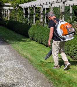 Here, Fernando blows along the road with our STIHL leaf blower to clear any leftover dead leaves or debris on the lawn. He also blows any gravel stones back onto the road. These STIHL blowers are powerful and fuel-efficient. They provide enough rugged power to tackle heavy debris while delivering lower emissions.
