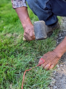 Pete and Fernando use bright colored twine and garden sod staples to mark the straight edge of the lawn where the edger will go. The twine is saved and used over and over for making straight lines for a variety of projects.