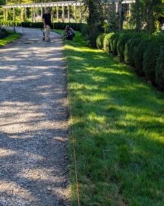 Pete puts up the colored twine one section at a time. Once taut, it is easy to see the guiding string for the edger.