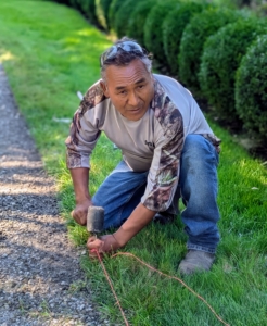 Pete hammers in another garden sod staple to anchor the twine at the other end and looks to make sure the twine is aligned straight where he wants it to be.