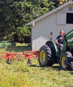 Once cut, the cut hay is ready for tedding, also known as fluffing. This is our hay tedder. It spreads and fluffs the hay in a uniform swath. It uses a rotary motion to grab the hay with spinning tines that cast it out the back of the machine.