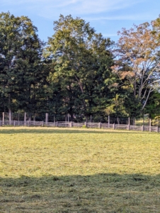 This field is now all cut and tedded. Next, the hay will be flipped again and then formed into rows for baling. The clip below shows how the tedder works. Stay tuned for the rest of the process.