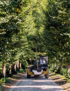 And then using the trusted Hi-Lo, Pete delivers it to the maze field, where it will stay until it is moved to its more permanent location.