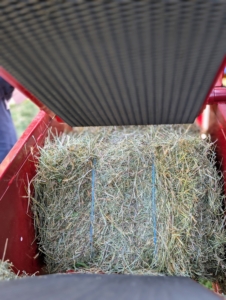 Once it is tied, it moves up this conveyor belt…
