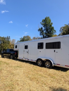 Yesterday was the big day - both horses arrived on a sunny, mild afternoon. Here is the trailer as it pulled into my run-in pasture.