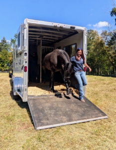 Ulysses was the first to come off with DER barn manager, Tiffany Vittum.