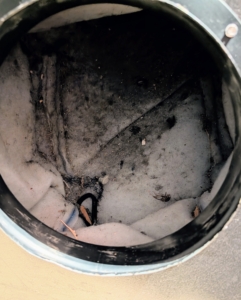 Look inside - so much dust and debris.