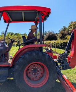 And then the digging begins. Chhiring maneuvers my Kubota M62 tractor loader and backhoe to dig holes for the trees.