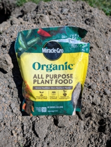 Alex sprinkles a generous amount of fertilizer into the hole and the surrounding soil. Remember, “if you eat, so should your plants.” I use Miracle-Gro Organic All Purpose Plant Food. It’s full of essential nutrients and won’t burn the plants.