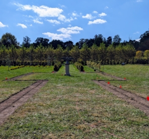 This is what the cleared area looks like once all the two-inch thick sod is pulled up.
