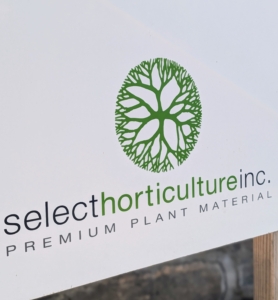 Select Horticulture Inc. has locations in Lancaster, Massachusetts and here in Westchester, New York right off route 137. It's owned by Scott Richard and Jim Freeborn who are often at the nurseries ready to answer any questions. Maybe I'll see you there also.