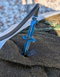 And every tree is connected to an extensive water irrigation system. There are multiple stakes in each root ball that connect to the water source. All the trees are checked often to make sure they're getting the water they need.