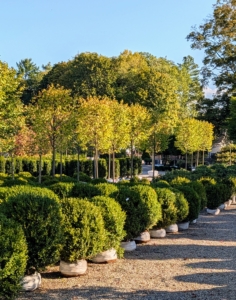 There's still a lot of time to plant in the garden, so stop in at a local nursery. You’ll learn a lot and most likely find something you love to take home.