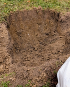 Each hole is manually smoothed out and prepared to ensure it is deep enough for each specimen. The hole sides are slanted. Digging a wide planting hole helps to provide the best opportunity for roots to expand into its new growing environment.
