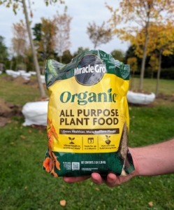 The entire area is sprinkled with fertilizer. The crew uses an organic all purpose plant food from Miracle-Gro.